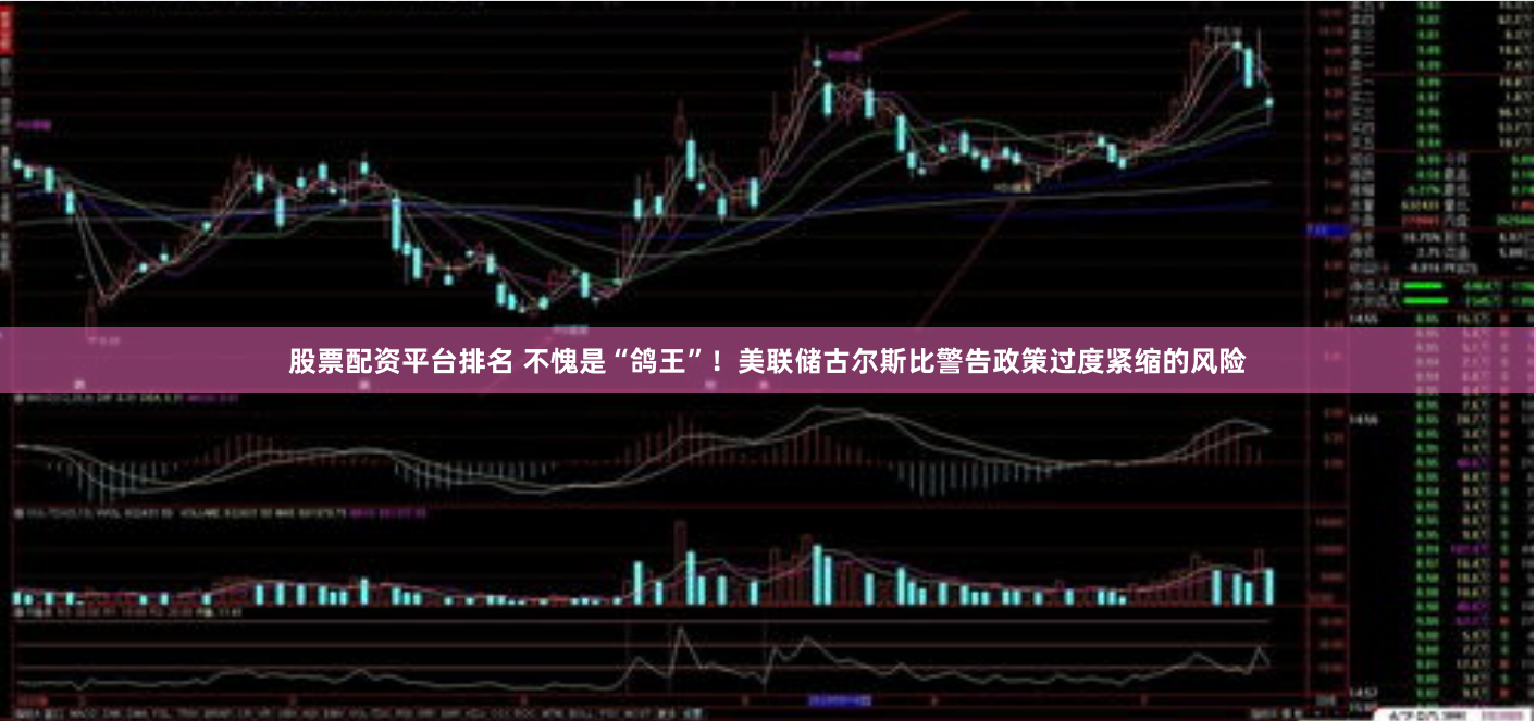 股票配资平台排名 不愧是“鸽王”！美联储古尔斯比警告政策过度紧缩的风险
