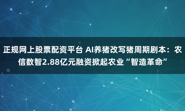 正规网上股票配资平台 AI养猪改写猪周期剧本：农信数智2.88亿元融资掀起农业“智造革命”